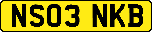NS03NKB