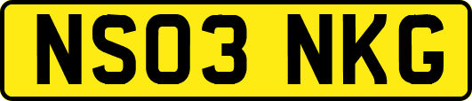 NS03NKG