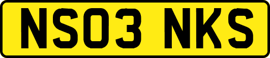 NS03NKS