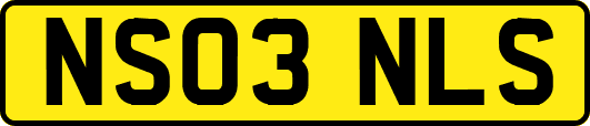 NS03NLS