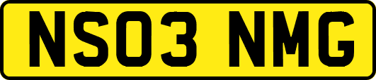 NS03NMG