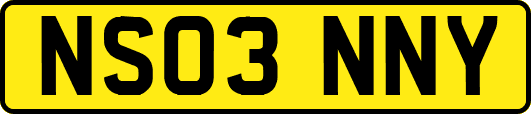 NS03NNY