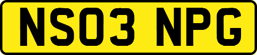 NS03NPG