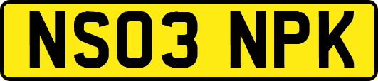 NS03NPK