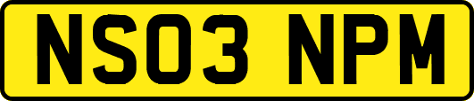 NS03NPM