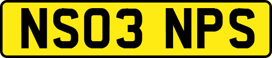 NS03NPS