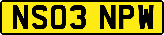 NS03NPW