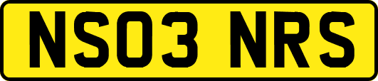 NS03NRS