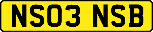 NS03NSB