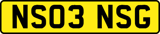 NS03NSG
