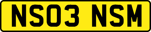 NS03NSM