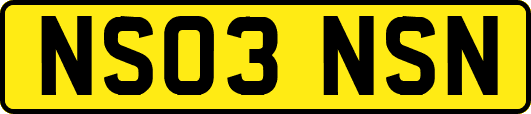 NS03NSN
