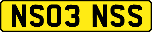 NS03NSS