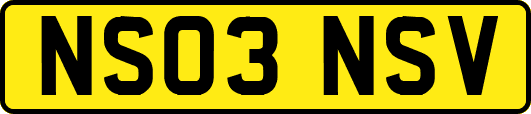 NS03NSV
