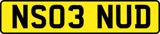 NS03NUD
