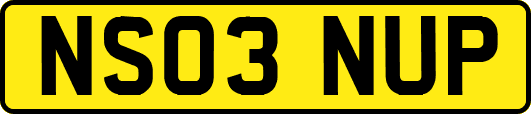 NS03NUP