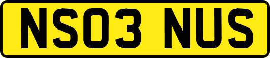NS03NUS