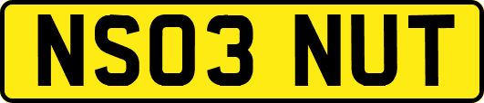 NS03NUT