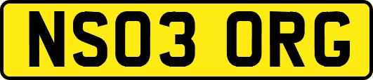 NS03ORG