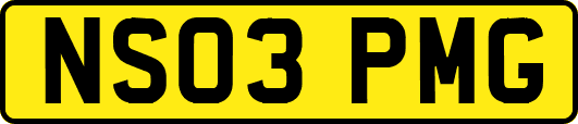 NS03PMG