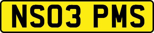 NS03PMS