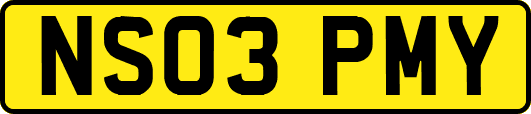 NS03PMY