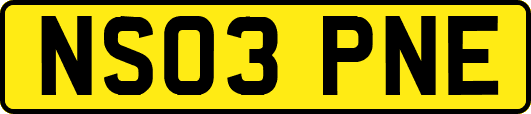 NS03PNE