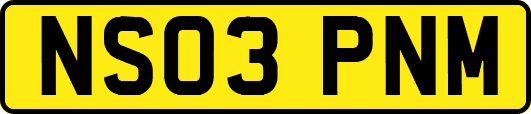 NS03PNM
