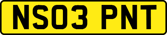NS03PNT