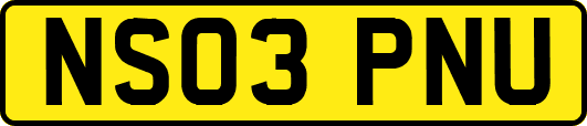 NS03PNU