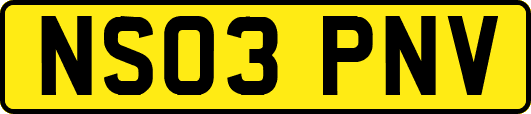 NS03PNV