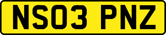 NS03PNZ