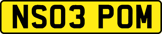 NS03POM