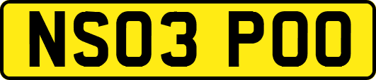 NS03POO