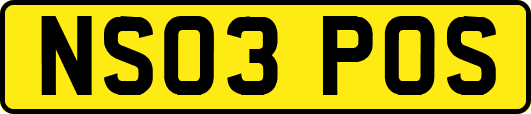 NS03POS
