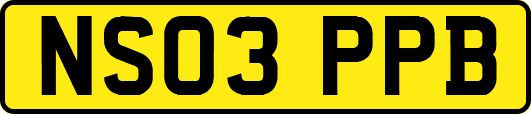 NS03PPB