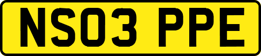 NS03PPE