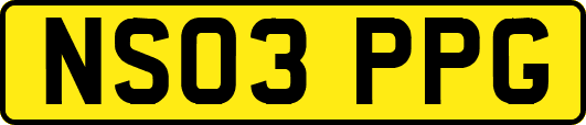 NS03PPG