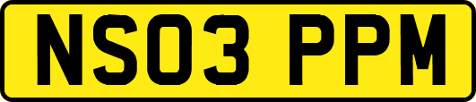 NS03PPM