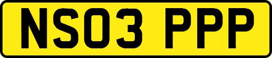 NS03PPP