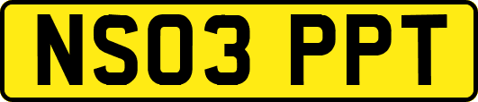NS03PPT