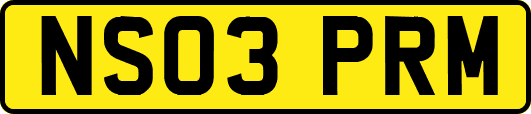 NS03PRM