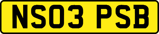NS03PSB