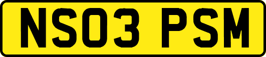 NS03PSM