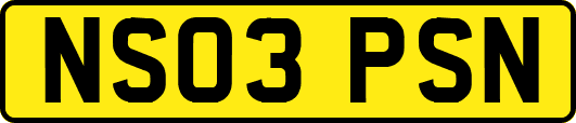 NS03PSN