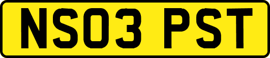 NS03PST
