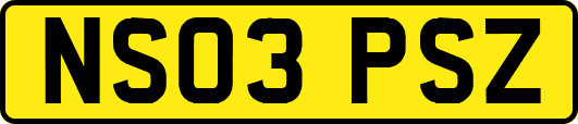 NS03PSZ