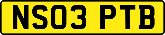 NS03PTB
