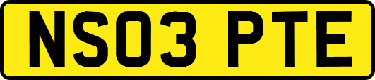 NS03PTE