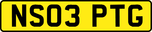 NS03PTG